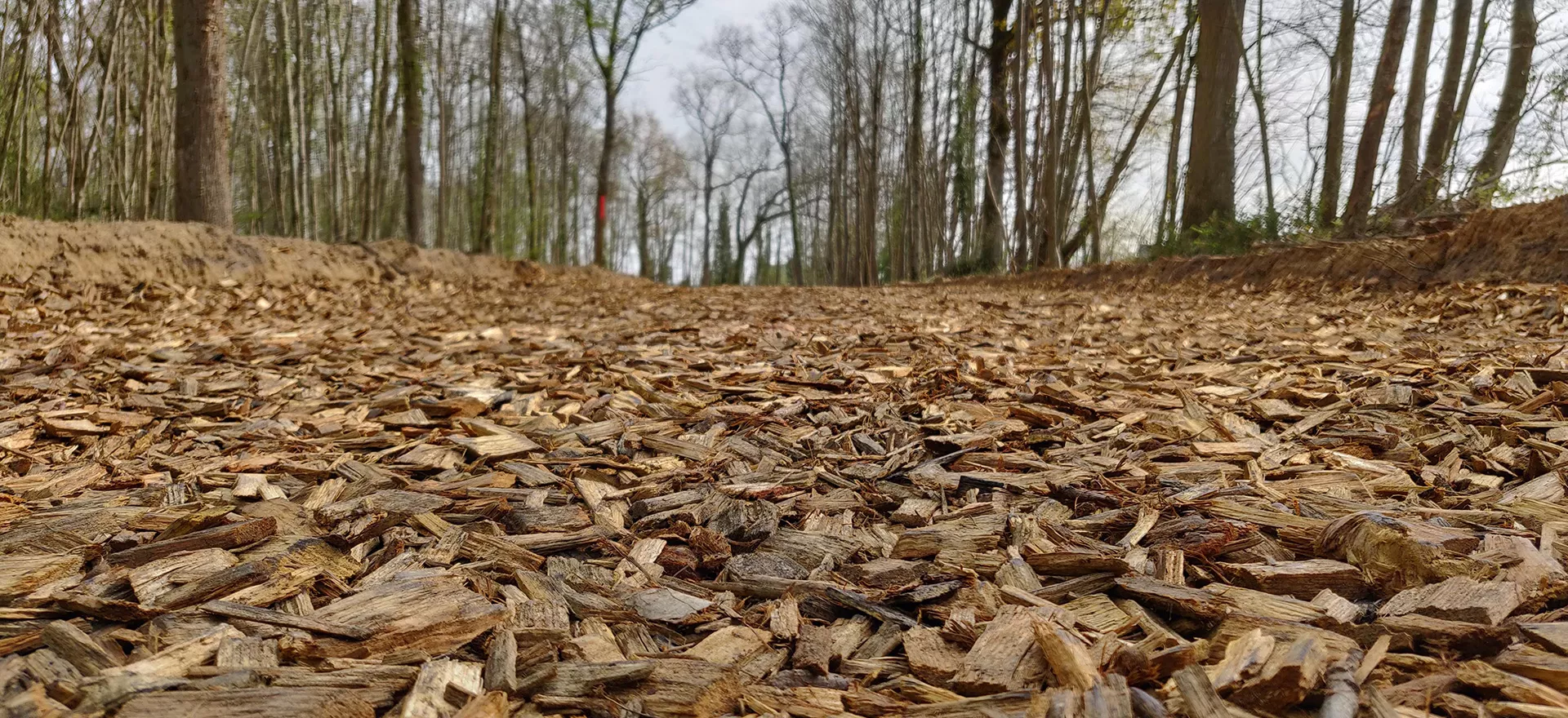 Copeau de bois